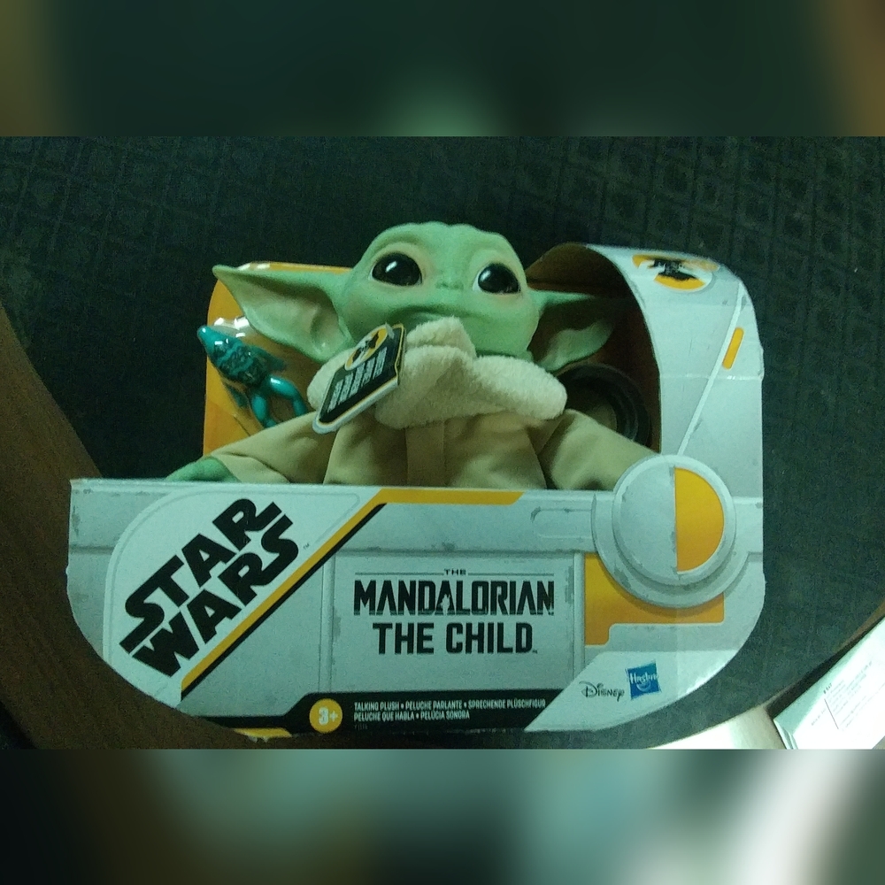 Star Wars the Mandalorian the Child